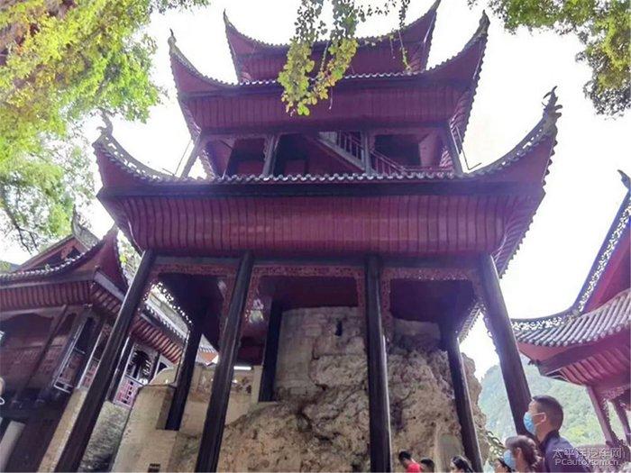 豉油鸡用什么鸡做好吃游戏画面
